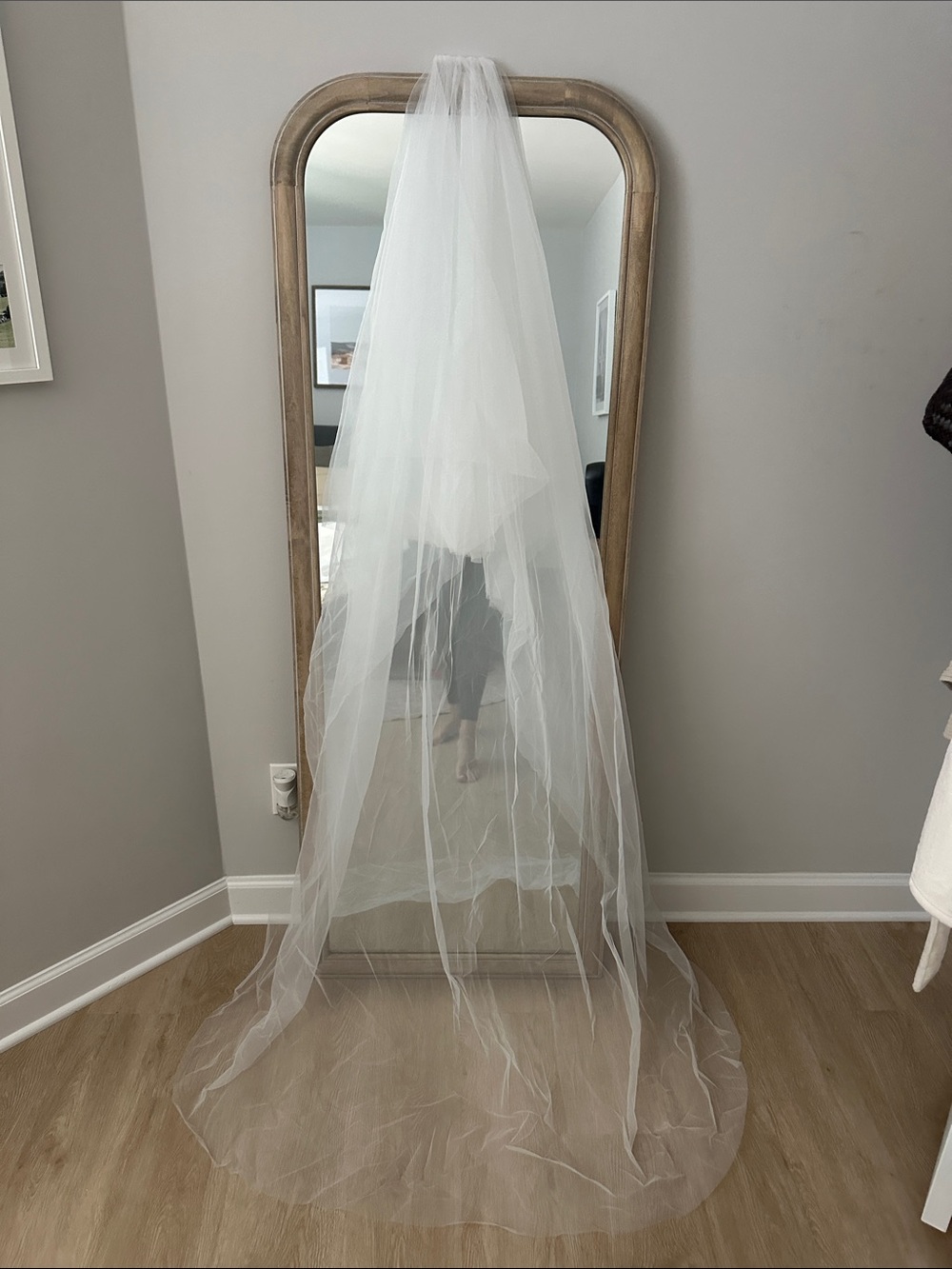 Chapel Length Bridal Veil in Soft Ivory